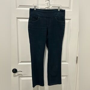 Jag Jeans High Rise Straight Leg Women’s Size 14P Pull On Stretch